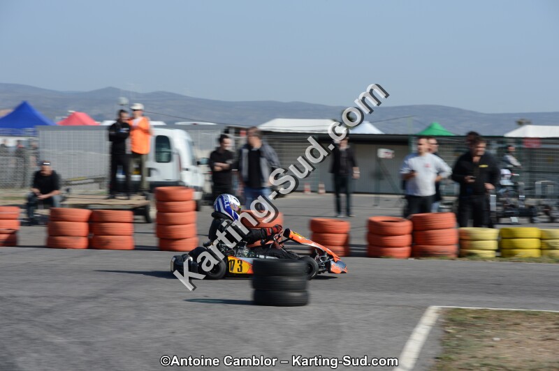 DSC_0394.jpg