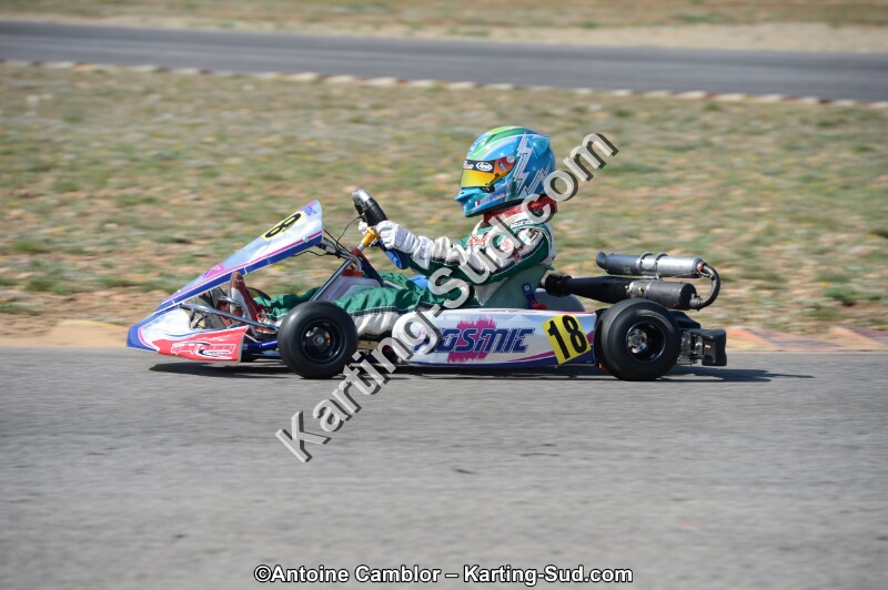 DSC_0888.jpg