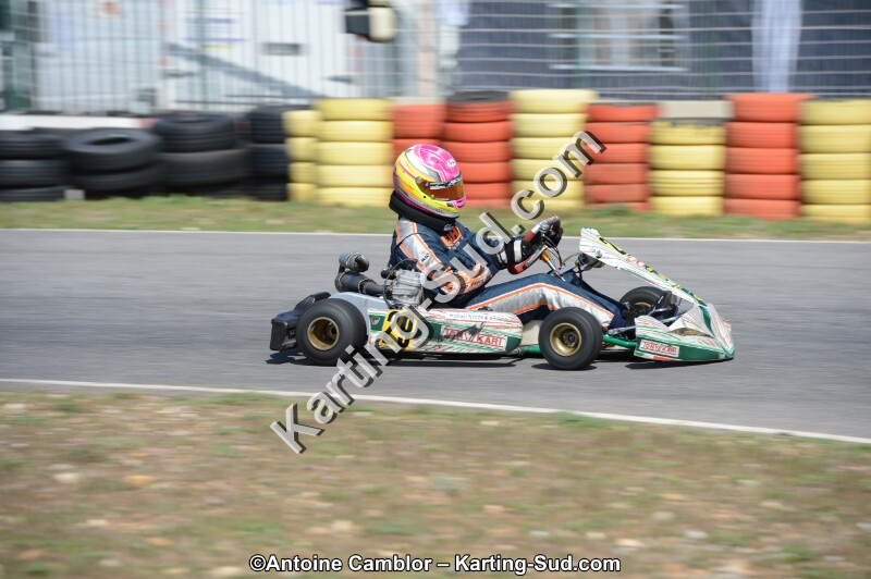 DSC_0950.jpg