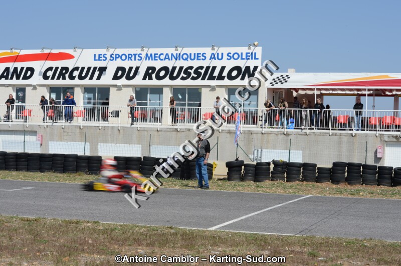 DSC_0954.jpg