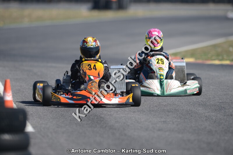 DSC_1323.jpg