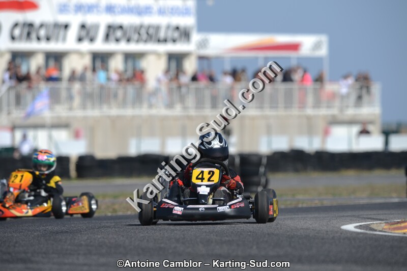 DSC_1386.jpg
