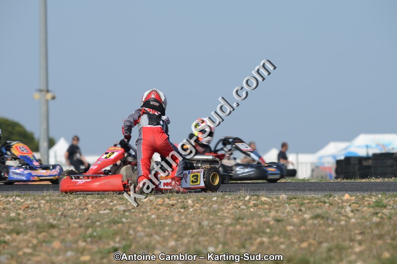 DSC_1786.jpg