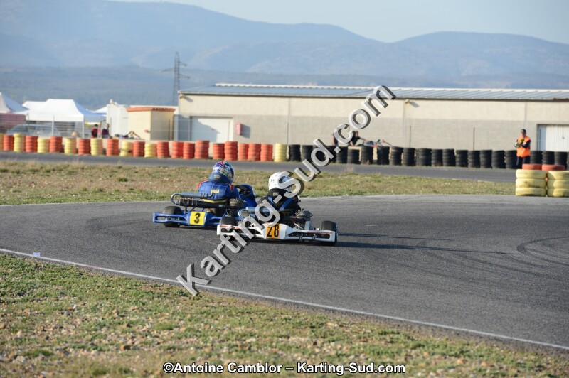 DSC_2000.jpg