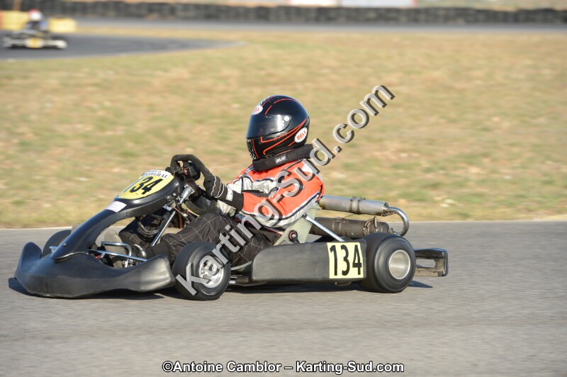 DSC_2006.jpg