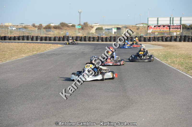 DSC_2010.jpg