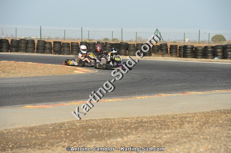 DSC_2124.jpg