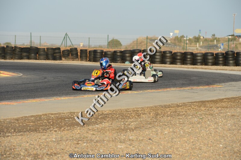 DSC_2203.jpg