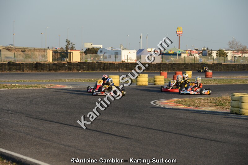 DSC_2288.jpg