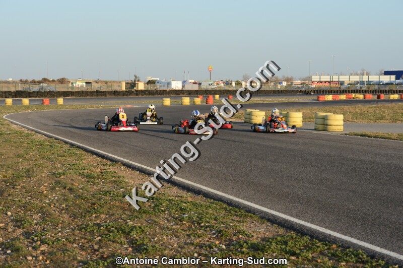 DSC_2290.jpg