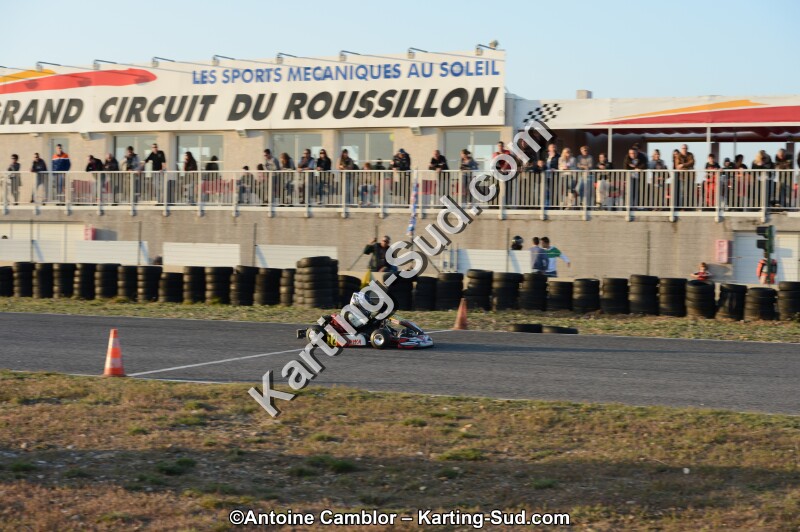 DSC_2300.jpg