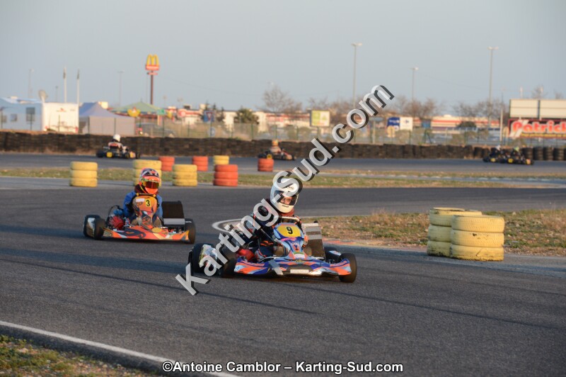 DSC_2351.jpg