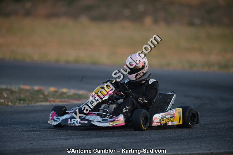 DSC_2533.jpg