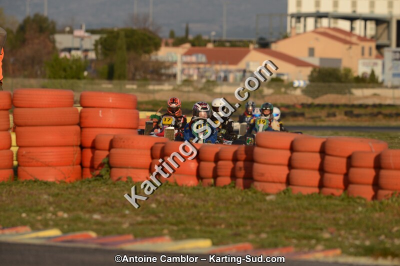 DSC_2667.jpg
