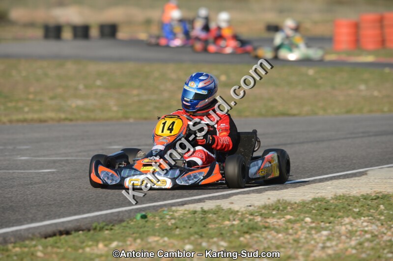 DSC_3146.jpg