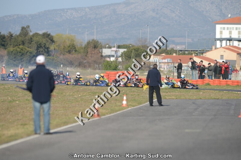 DSC_3175.jpg