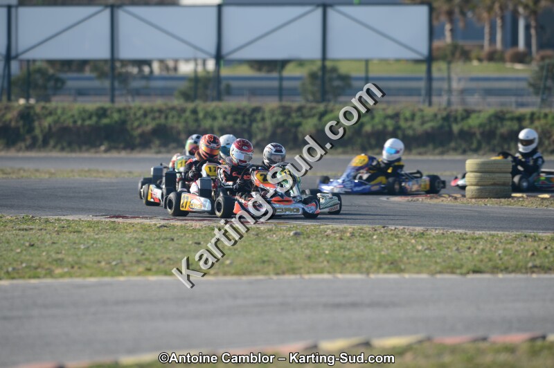 DSC_3185.jpg
