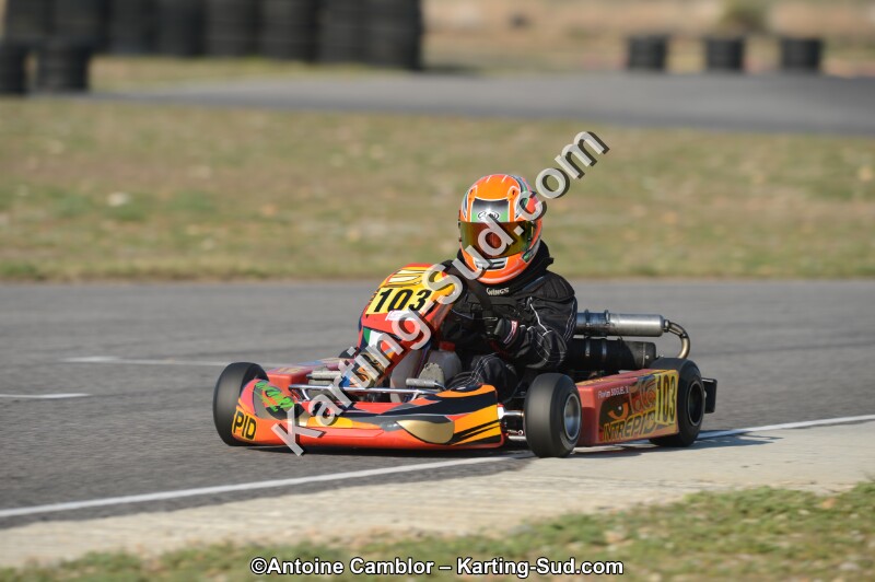 DSC_3316.jpg