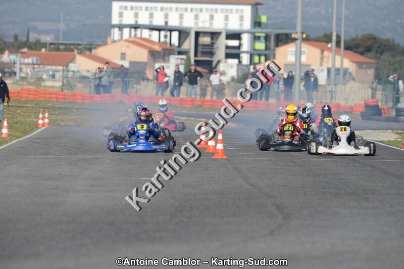 DSC_3381.jpg