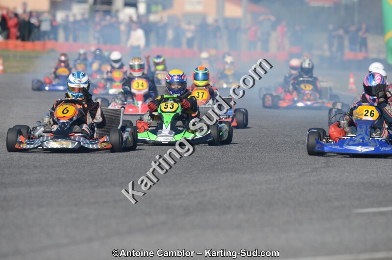 DSC_3536.jpg