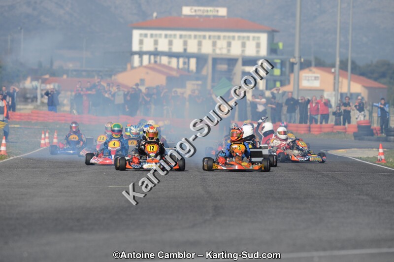 DSC_3556.jpg