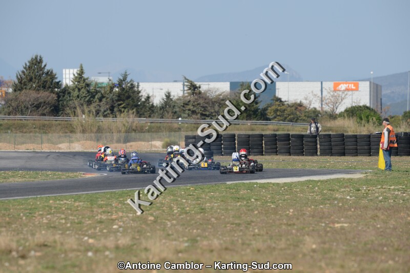 DSC_3675.jpg