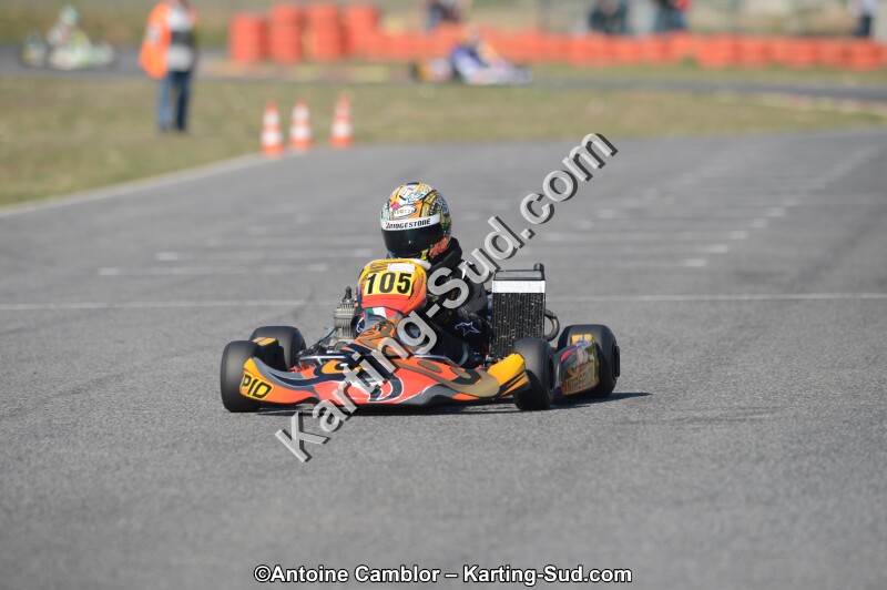 DSC_3767.jpg