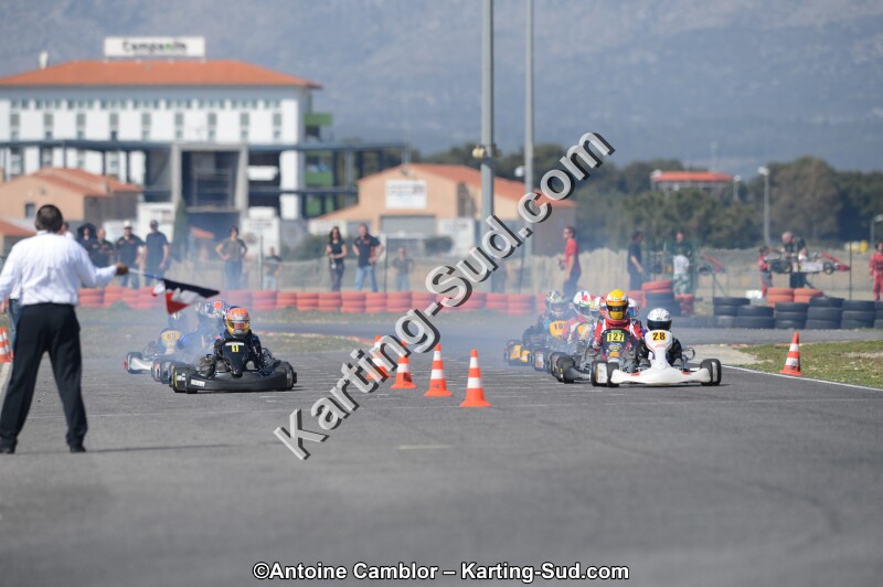 DSC_4217.jpg