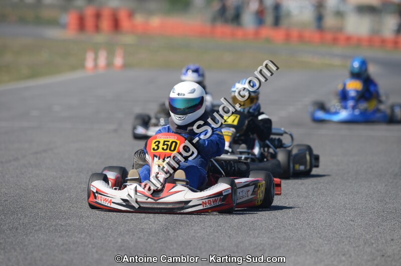DSC_4233.jpg