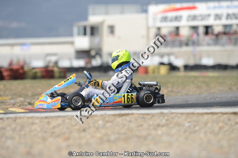 DSC_4391.jpg