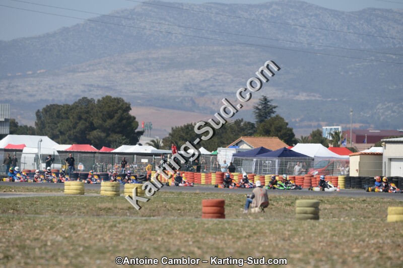 DSC_4443.jpg