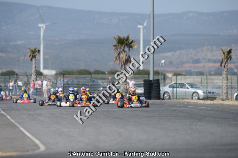 DSC_4445.jpg