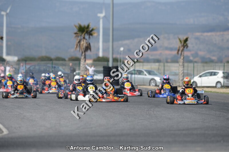 DSC_4446.jpg
