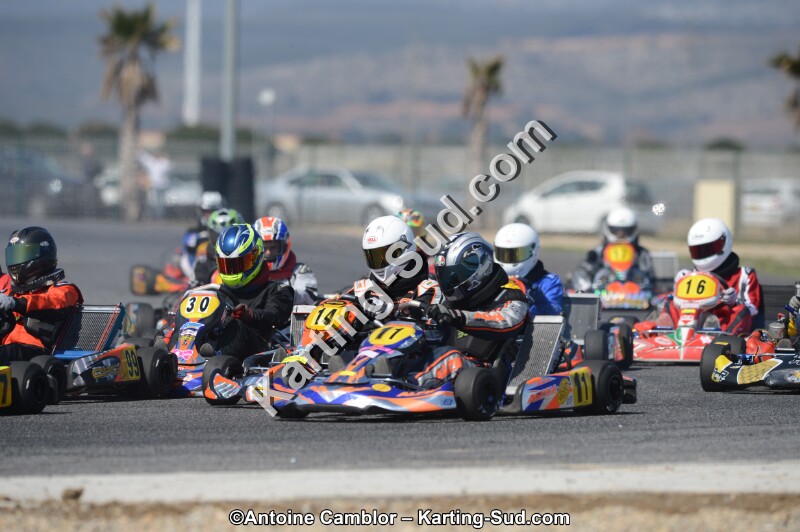 DSC_4455.jpg