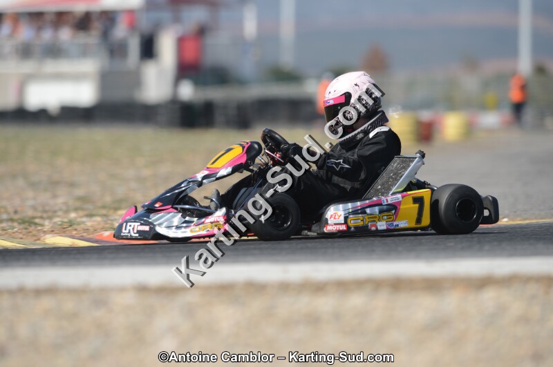 DSC_4528.jpg