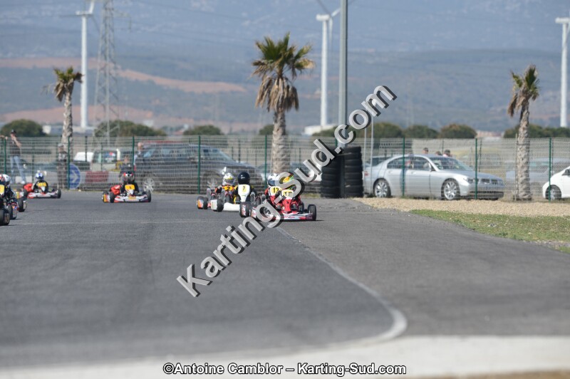 DSC_4545.jpg