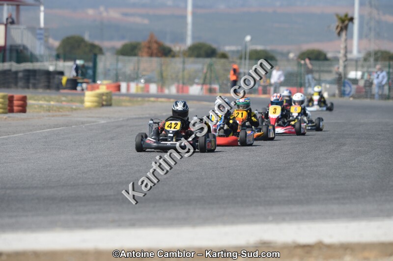 DSC_4546.jpg