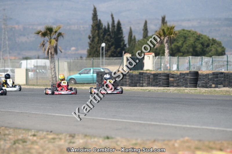 DSC_4553.jpg