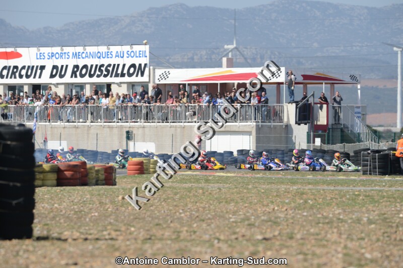 DSC_4650.jpg