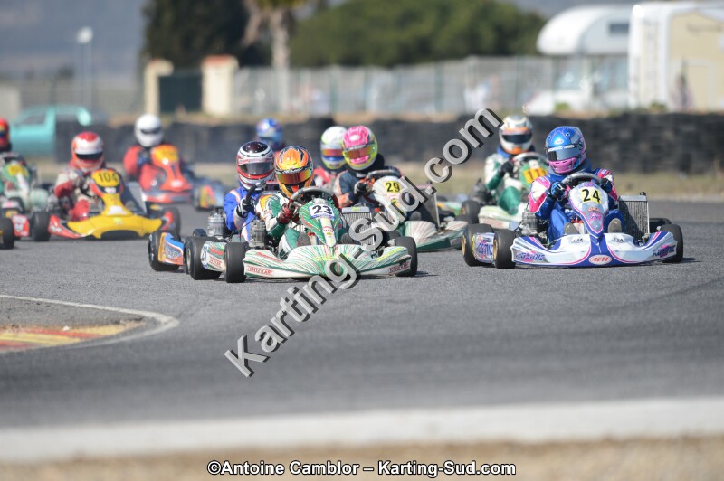 DSC_4653.jpg