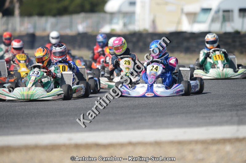 DSC_4654.jpg