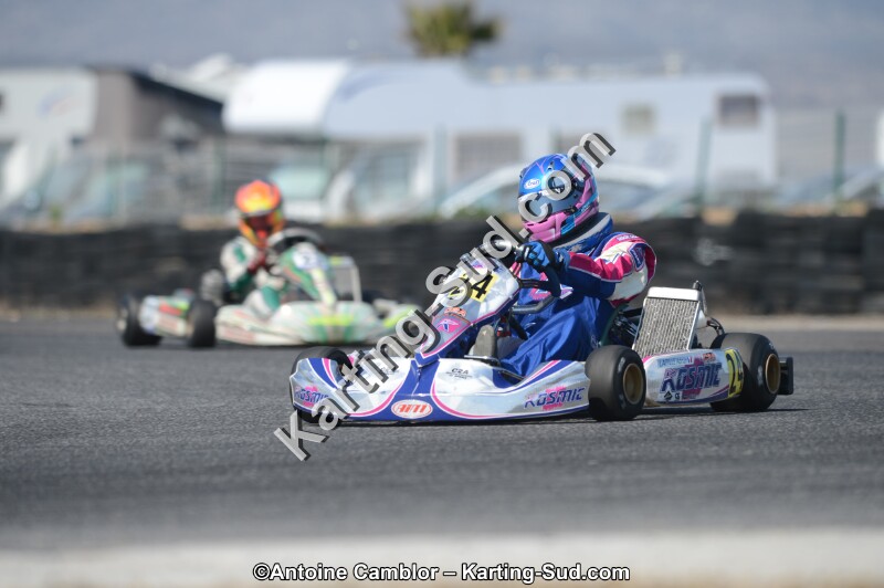 DSC_4687.jpg
