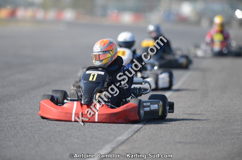 DSC_5175.jpg