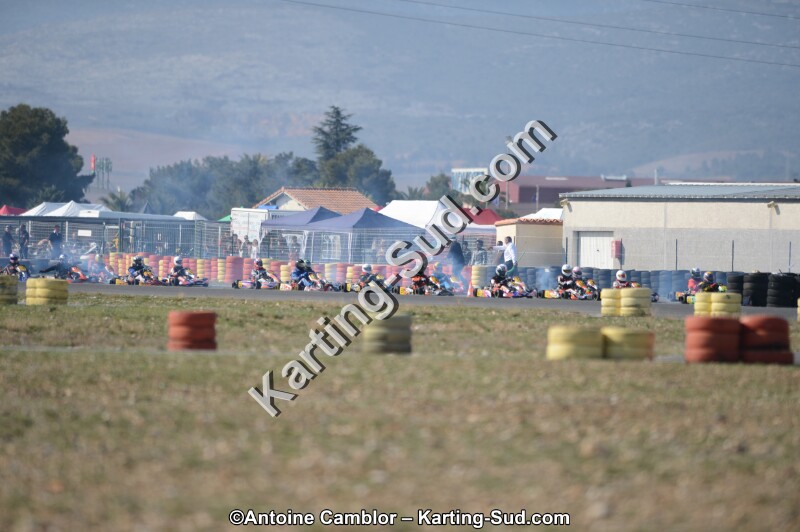 DSC_5218.jpg