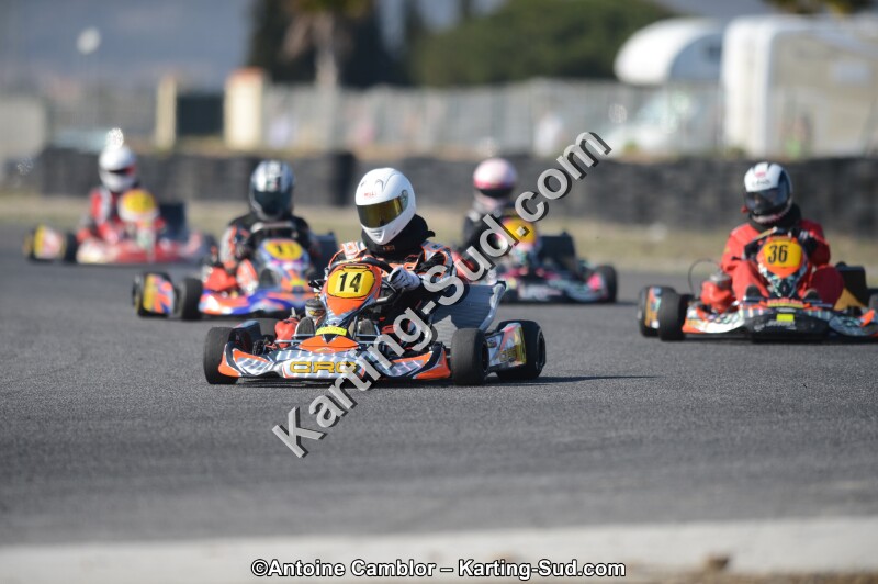 DSC_5225.jpg