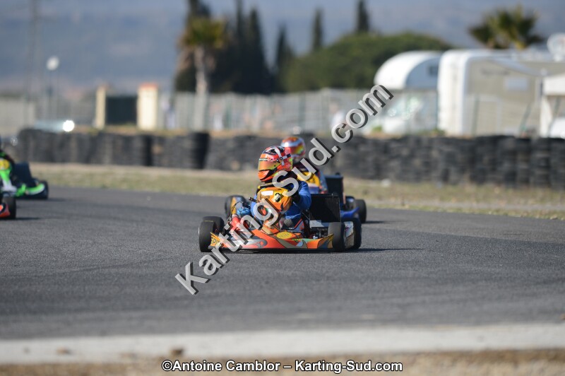 DSC_5233.jpg
