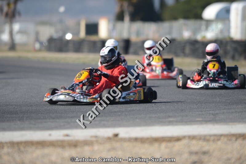 DSC_5236.jpg