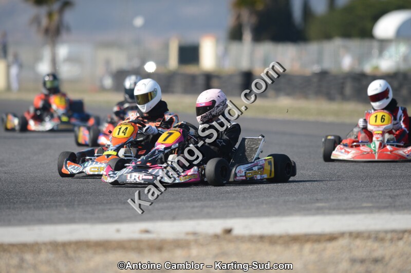 DSC_5237.jpg