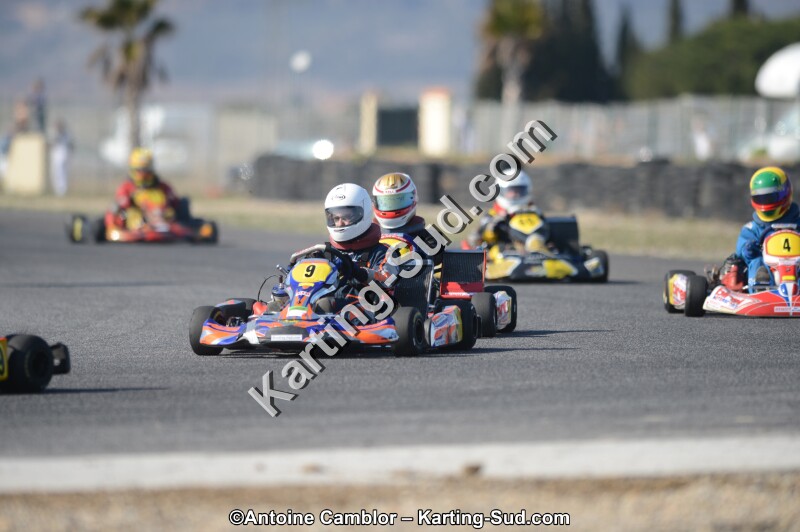 DSC_5241.jpg