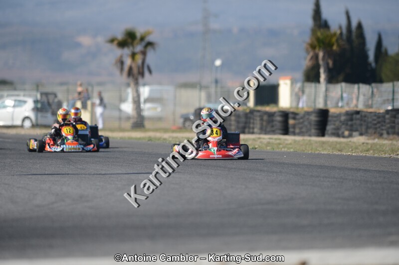 DSC_5246.jpg